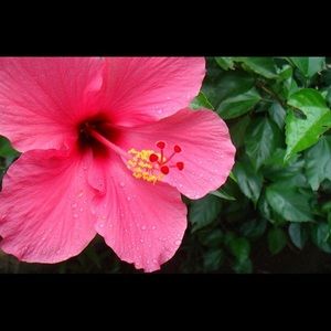 Meet your Posher, Latoya